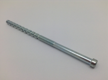 Trioving M5 cylinder screw